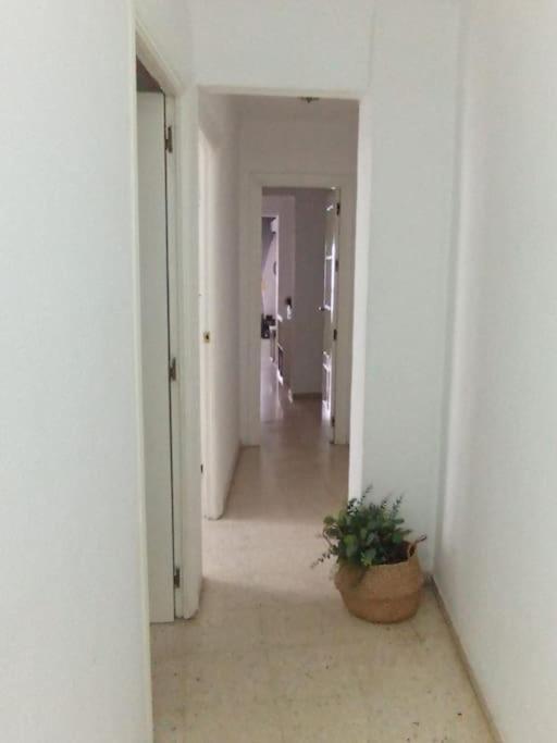 Apartamento Plaza Toros Sevilla Dış mekan fotoğraf